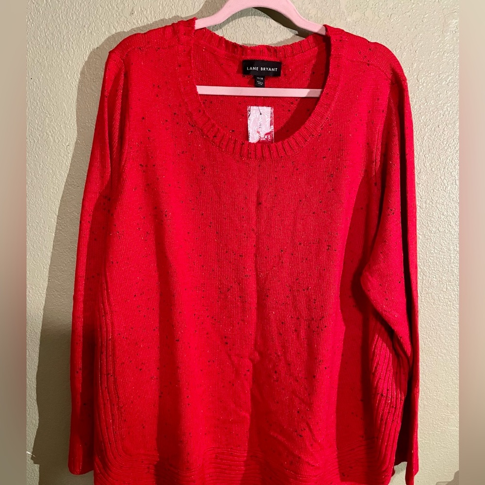 Sweater (Lane Bryant)